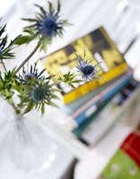 Sea Holly flowers in glass vase