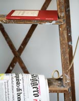 Books and papers stored on old ladder