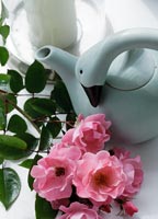 Roses and tea pot