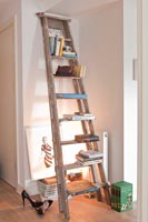 Ladder used as bookshelves