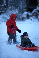 Children playing in snow 
