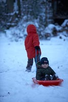 Children playing in snow 
