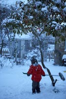Boy playing in snow 
