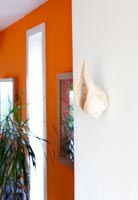 Pottery shell attached to wall