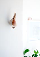Pottery shell attached to wall
