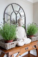 Buddha statue flanked by pots of french Lavender