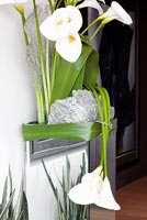 Wall mounted arrangement of Calla Lilies