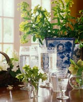 Hellebore and Spurge flowers in vases