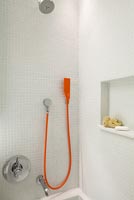 Contemporary shower above bath