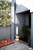 Courtyard with living wall