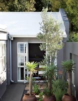 Modern house and courtyard garden