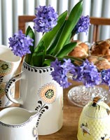 Hyacinths in patterned jug by Hannah Turner