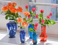 Roses in colourful vases