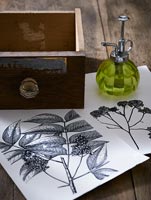Crafts projects using botanical prints