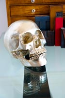 Metal skull
