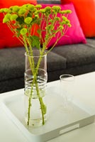 Chrysanthemums in glass vase