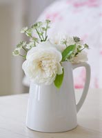 White jug filled with Roses and Astrantia flowers