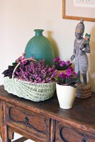 Flowering Heather, African Violets and Flaming Katy in basket  on sideboard