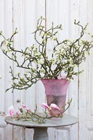 Spring blossom in pink vase