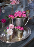 Roses 'Gruss an Aachen', 'Belle de Remalard', 'Felicia',  'Henri  Martin' and 'Complicata' in silver pots
