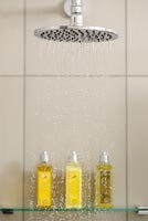 Contemporary shower detail