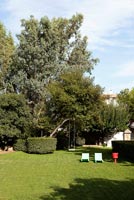 Lawned garden with mature trees