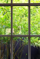View of garden through window