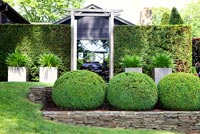 Formal garden border with topiary balls