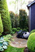 Clipped conifers and shrubs in garden border