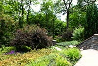 Sloping country garden with mature shrubs and trees