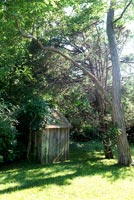 Wooden shed under tree