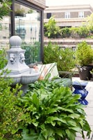 Roof garden with pots of Hostas and shrubs