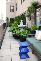 Roof garden with pots of Hostas and shrubs
