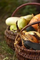 Pumpkins and squashes in wicker baskets