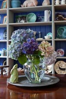 Blue Hydrangea flowers in glass vase