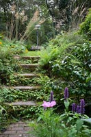 Stone steps in country garden