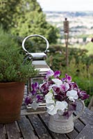 Pot plants and Sweet pea flowers on garden table
