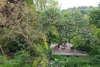 Sloping garden with wooden deck under tree