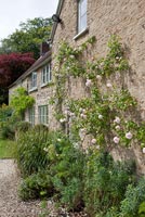 Stone farmhouse with Roses growing up walls
