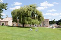 Country house and lawned garden with Willow tree