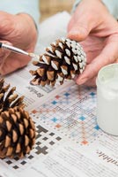 Step by Step guide for painting pine cones for a simple table decoration - Painting pine cone