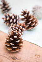 Step by Step guide for painting pine cones for a simple table decoration - finished cones