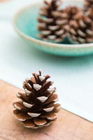 Step by Step guide for painting pine cones for a simple table decoration - finished cones