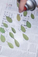 Using cotton wool and garden wire to create a Christmas tree - Spray painting Cotoneaster leaves