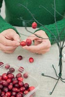 Using cotton wool and garden wire to create a Christmas tree - Adding small hooks to fresh Cranberries