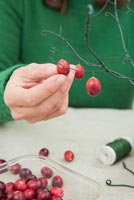 Using cotton wool and garden wire to create a Christmas tree - Adding fresh Cranberries to branches