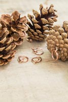 Making christmas decorations with pine cones