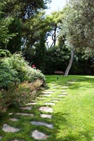 Lawned garden with path