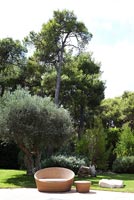 Garden with mature trees and patio