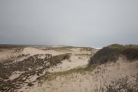 Sand dunes, USA